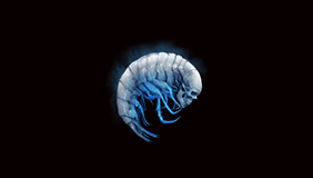 PS - Umbral Scouring x500