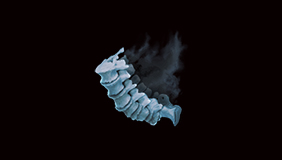 PC - Umbral Vertebrae x500
